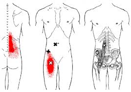 Back Massage Tool - Mobilization Magic